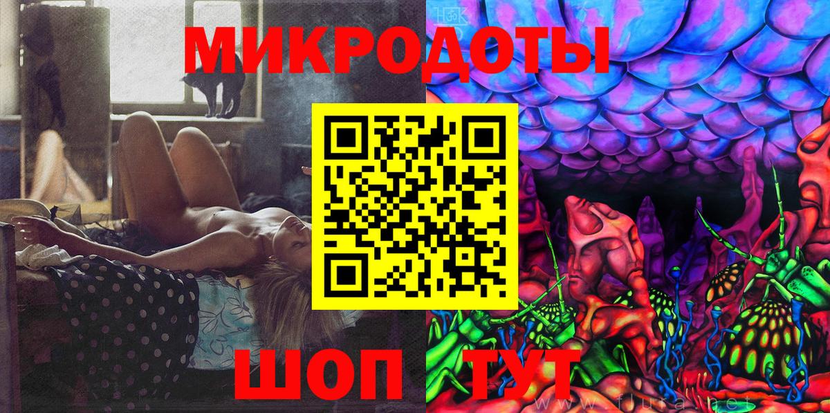 Псилоцибиновые грибы Psilocybe Алексин