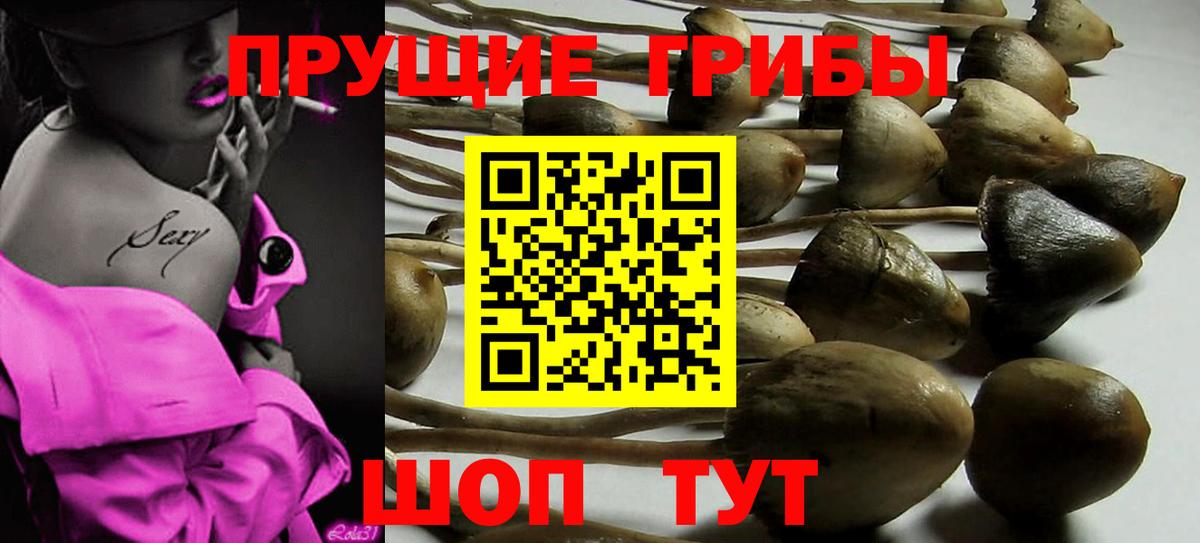 Галлюциногенные грибы Psilocybe  Вход с VPN  Галлюциногенные грибы мухоморы  Алексин 